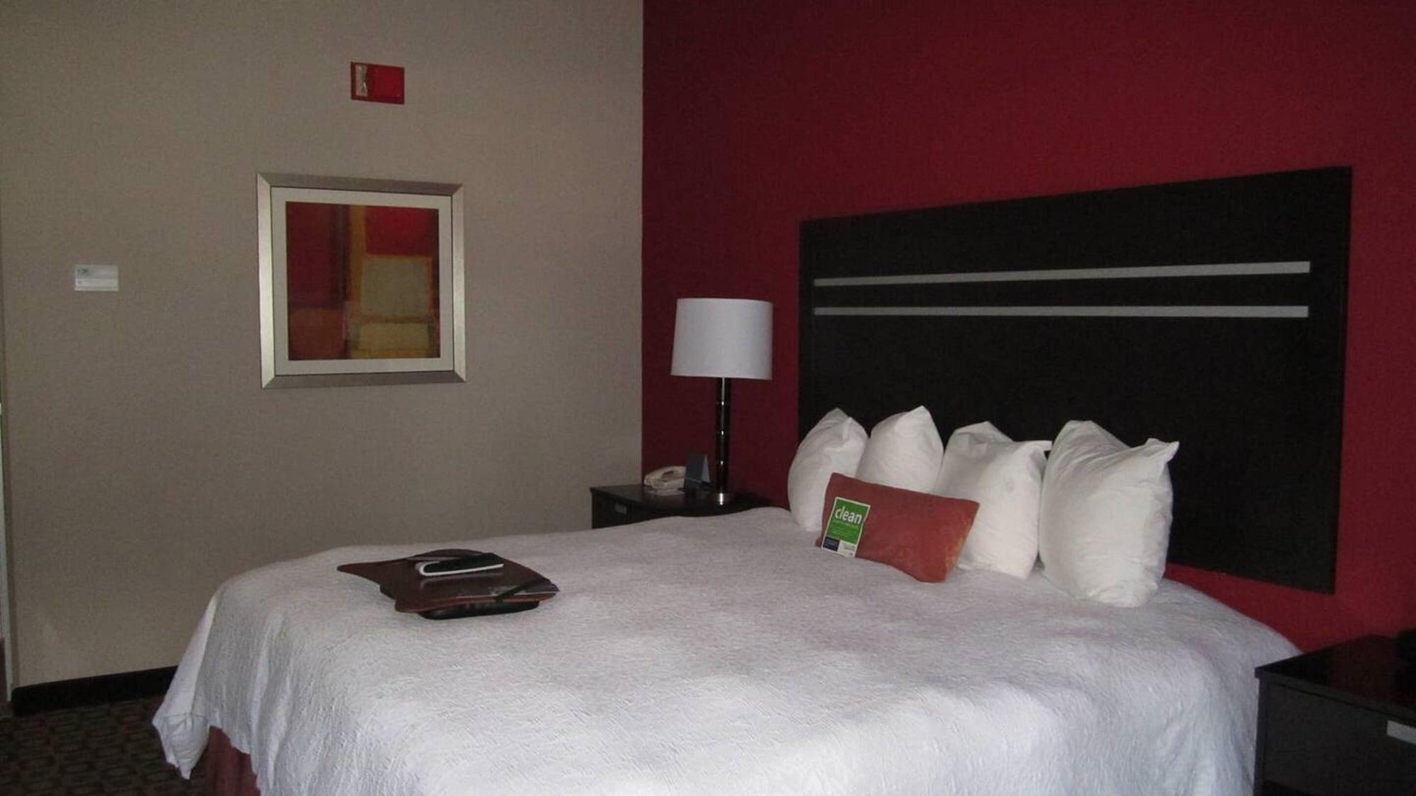 Hampton Inn Fort Myers-Airport & I-75 Pokój zdjęcie